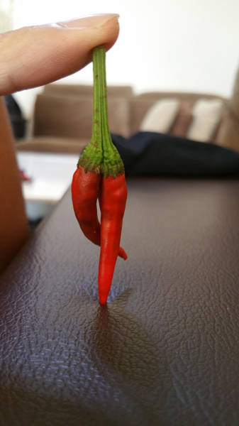 morning picdump 54 pics 2.html - 54 HD Photos | Premium Gallery 2015