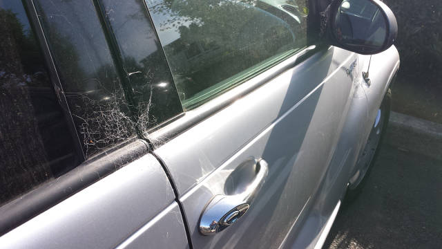 morning picdump 54 pics 2.html - 54 HD Photos | Premium Gallery 2015