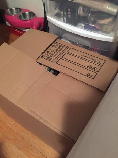 morning picdump 54 pics 2.html - 54 HD Photos | Premium Gallery 2015