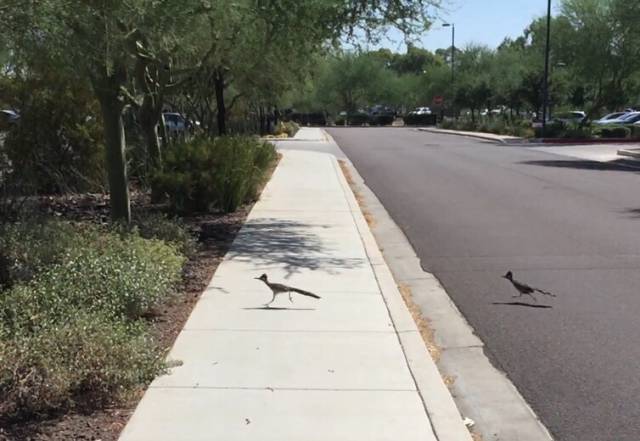 morning picdump 54 pics 2.html - 54 HD Photos | Premium Gallery 2015