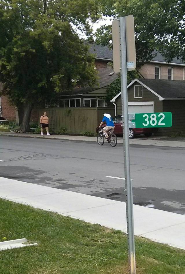 morning picdump 54 pics 2.html - 54 HD Photos | Premium Gallery 2015