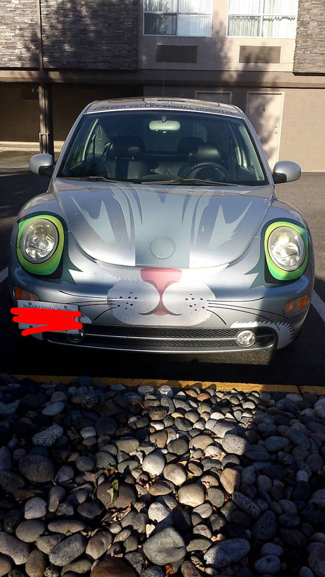 morning picdump 54 pics 2.html - 54 HD Photos | Premium Gallery 2015