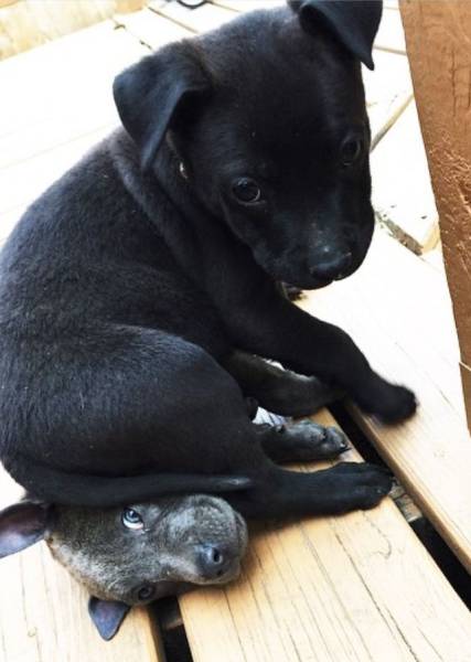 morning picdump 50 pics 2.html - 50 HD Photos | Premium Gallery 2015