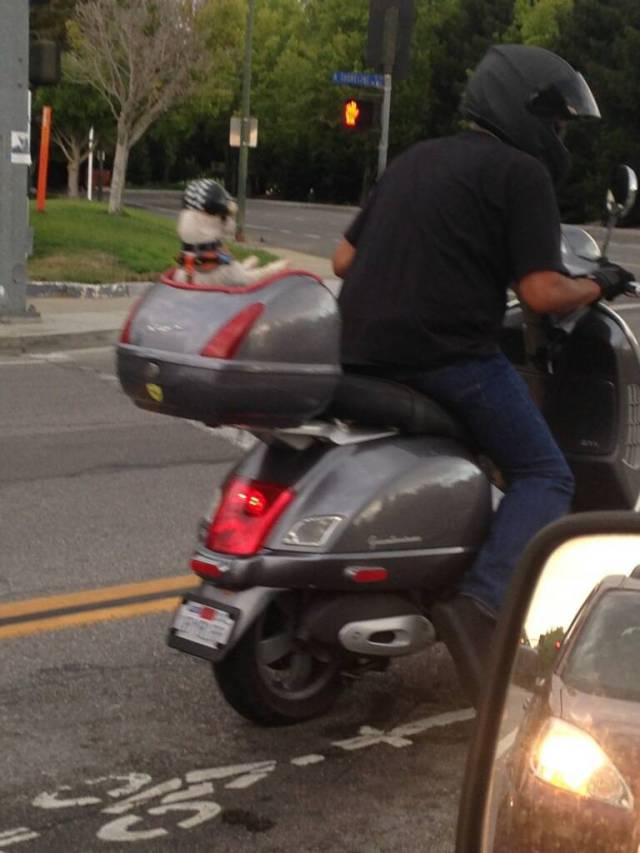 morning picdump 50 pics 2.html - 50 HD Photos | Premium Gallery 2015