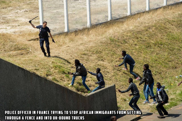 morning picdump 50 pics 3.html - 50 HD Photos | Premium Gallery 2015