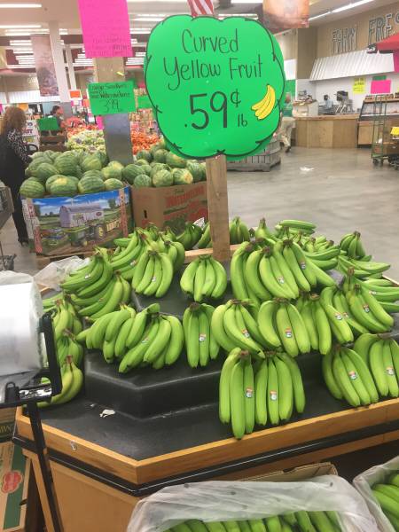 morning picdump 50 pics 3.html - 50 HD Photos | Premium Gallery 2015