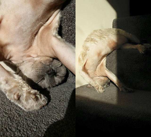 morning picdump 50 pics 3.html - 50 HD Photos | Premium Gallery 2015