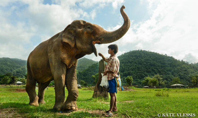 morning picdump 50 pics 3.html - 50 HD Photos | Premium Gallery 2015