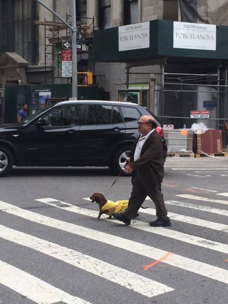 morning picdump 50 pics 3.html - 50 HD Photos | Premium Gallery 2015