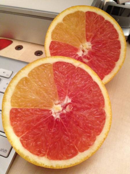 morning picdump 52 pics 9.html - 52 HD Photos | Premium Gallery 2015