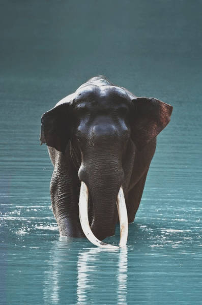 morning picdump 52 pics 9.html - 52 HD Photos | Premium Gallery 2015