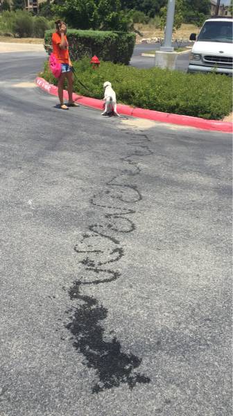 morning picdump 52 pics 9.html - 52 HD Photos | Premium Gallery 2015