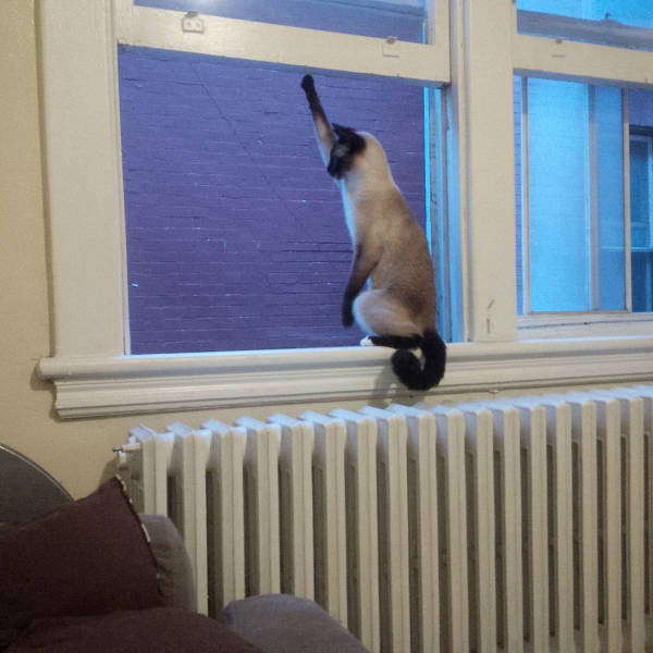 morning picdump 52 pics 9.html - 52 HD Photos | Premium Gallery 2015