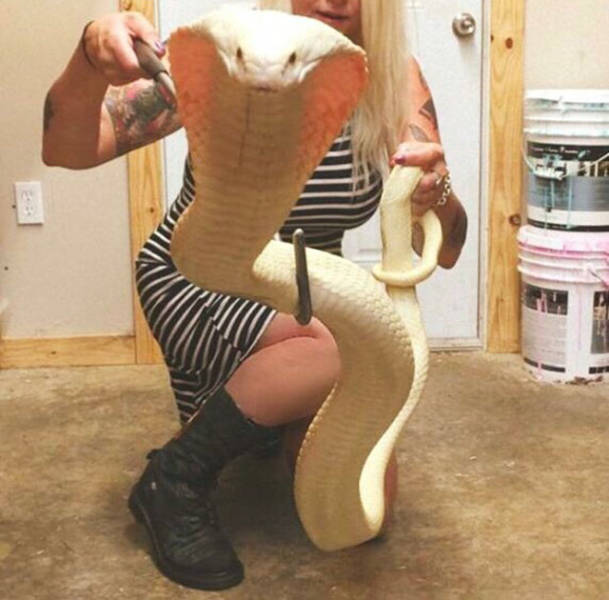 morning picdump 51 pics 13.html - 51 HD Photos | Premium Gallery 2015