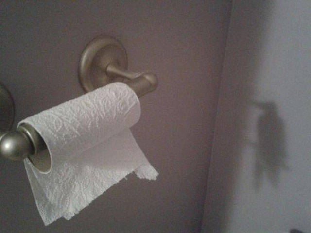 Wait, Take a Closer Look!