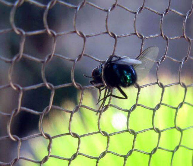 morning picdump 54 pics 1.html - 54 HD Photos | Premium Gallery 2015