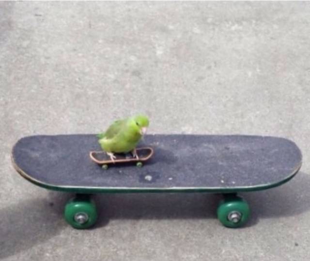 morning picdump 54 pics 1.html - 54 HD Photos | Premium Gallery 2015