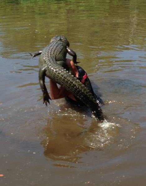 morning picdump 54 pics 1.html - 54 HD Photos | Premium Gallery 2015