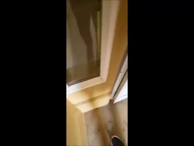 page,18,top 500 videos of the year 2015.html - 1 HD Video | Premium Gallery 2015