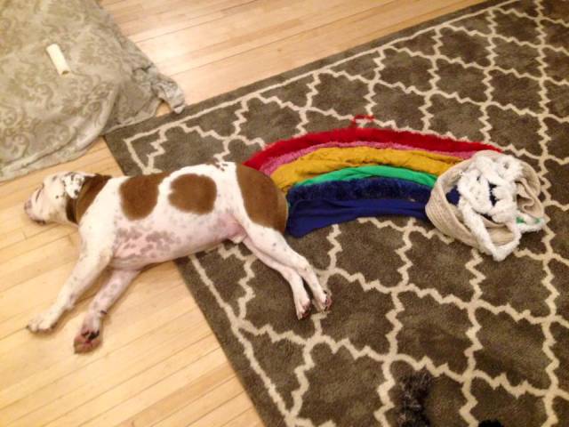 morning picdump 53 pics 7.html - 53 HD Photos | Premium Gallery 2015