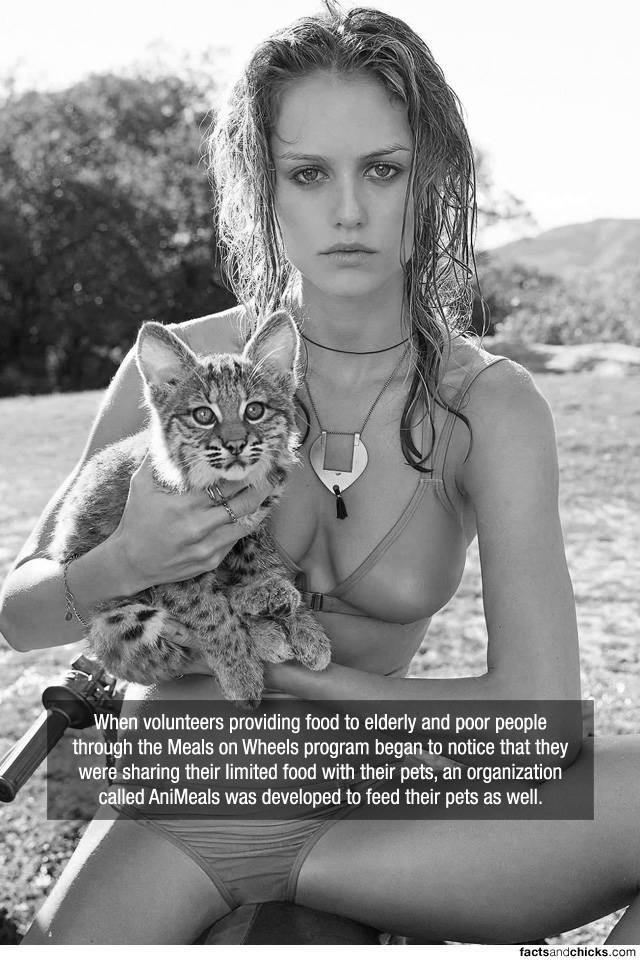 Facts are Best Served with Hot Girls