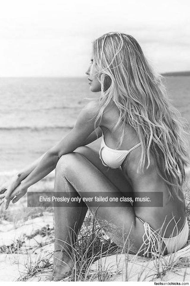 Facts are Best Served with Hot Girls