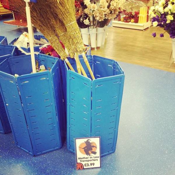 morning picdump 53 pics 7.html - 53 HD Photos | Premium Gallery 2015