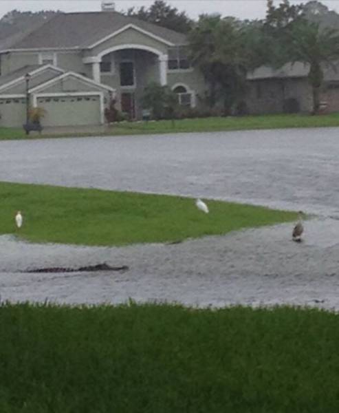 morning picdump 53 pics 7.html - 53 HD Photos | Premium Gallery 2015