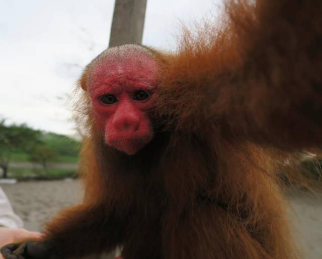 morning picdump 53 pics 7.html - 53 HD Photos | Premium Gallery 2015