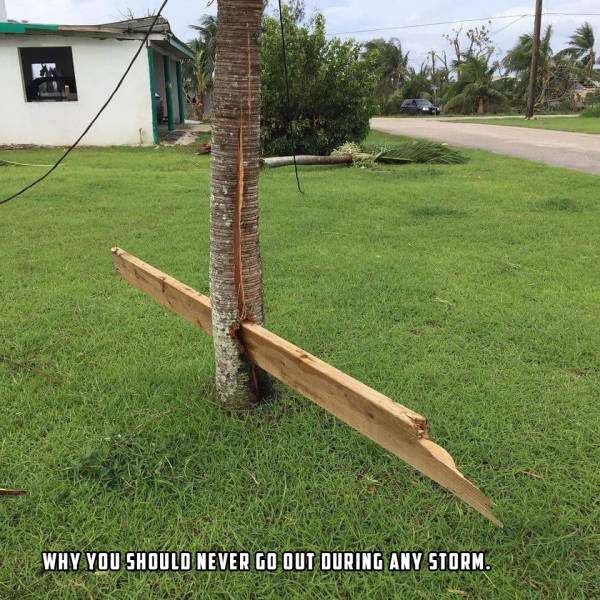 morning picdump 53 pics 7.html - 53 HD Photos | Premium Gallery 2015