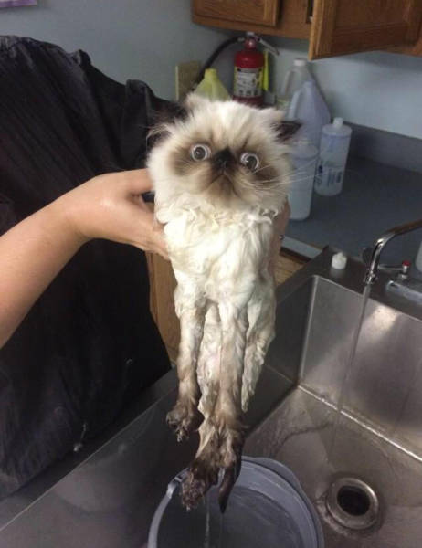 morning picdump 53 pics 7.html - 53 HD Photos | Premium Gallery 2015