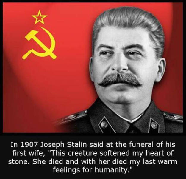 Interesting Facts about Anything and Everything