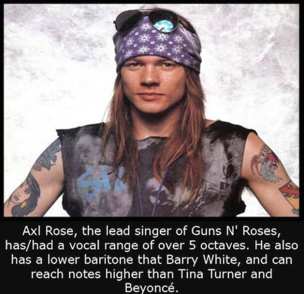 Interesting Facts about Anything and Everything