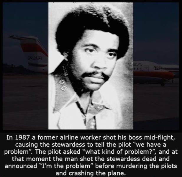 Interesting Facts about Anything and Everything