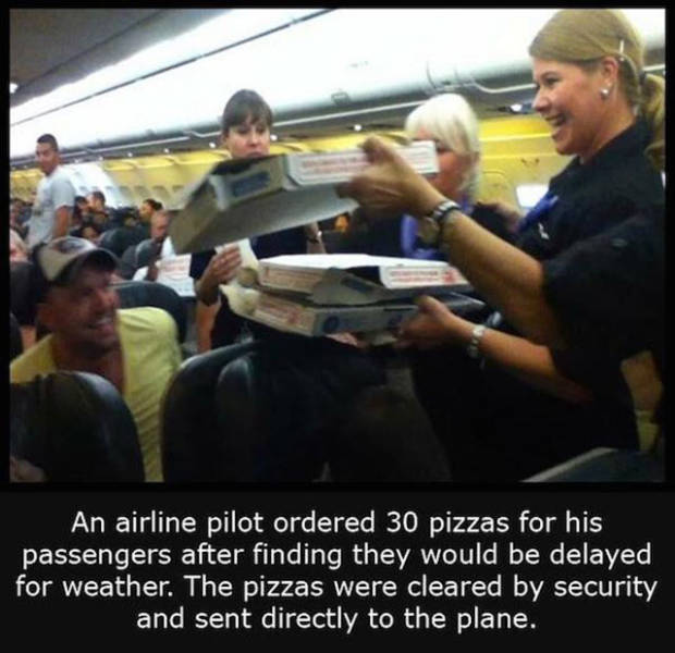 Interesting Facts about Anything and Everything