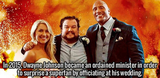 Interesting Facts about Anything and Everything