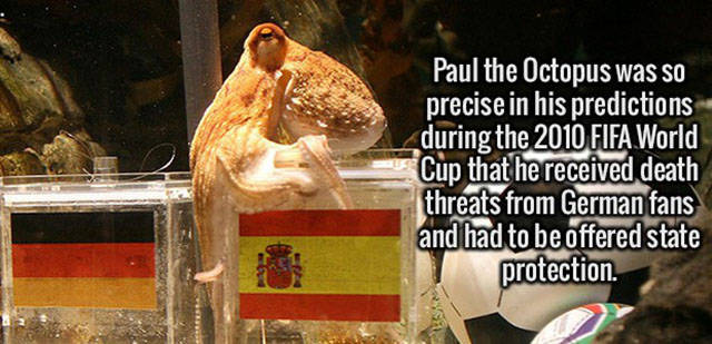 Interesting Facts about Anything and Everything