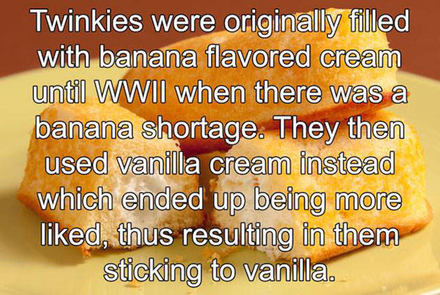 Interesting Facts about Anything and Everything