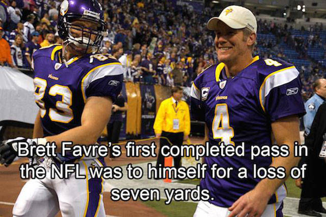 Interesting Facts about Anything and Everything