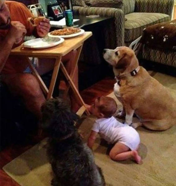 morning picdump 54 pics 7.html - 54 HD Photos | Premium Gallery 2015