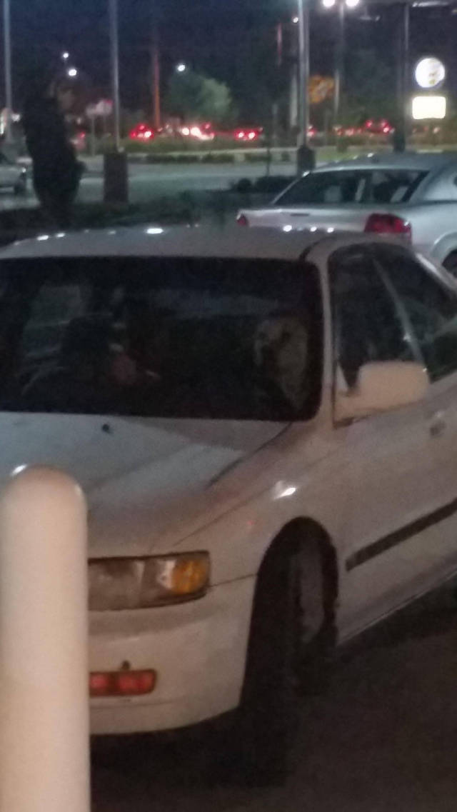 morning picdump 54 pics 7.html - 54 HD Photos | Premium Gallery 2015