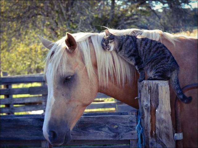 page,11,top 1500 daily pics of the year 2015.html - 1 HD Photos | Premium Gallery 2015