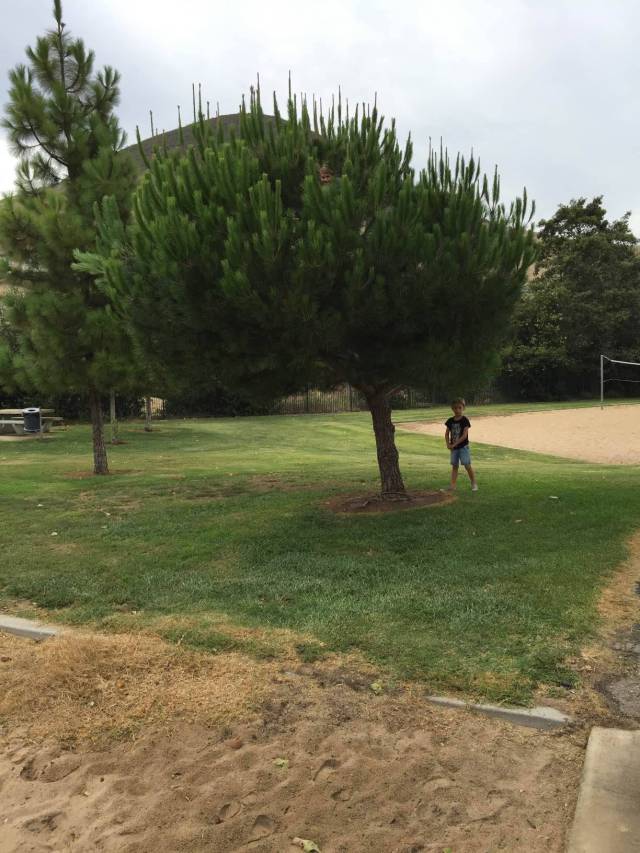 morning picdump 54 pics 12.html - 54 HD Photos | Premium Gallery 2015