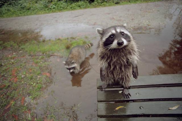 morning picdump 52 pics 3.html - 52 HD Photos | Premium Gallery 2015