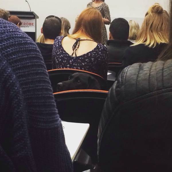 morning picdump 52 pics 3.html - 52 HD Photos | Premium Gallery 2015