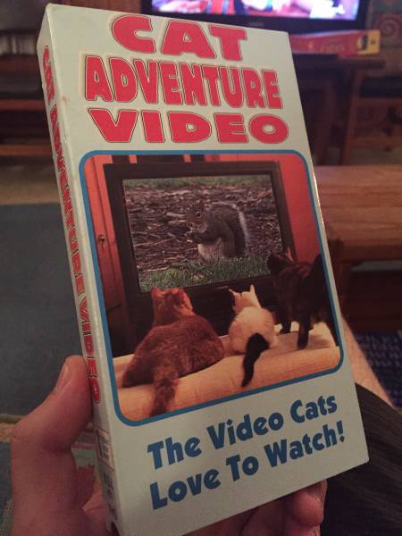 morning picdump 55 pics 15.html - 55 HD Photos | Premium Gallery 2015