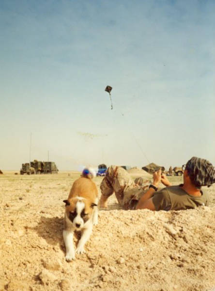 morning picdump 55 pics 15.html - 55 HD Photos | Premium Gallery 2015