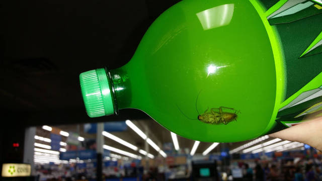 morning picdump 53 pics 20.html - 53 HD Photos | Premium Gallery 2015