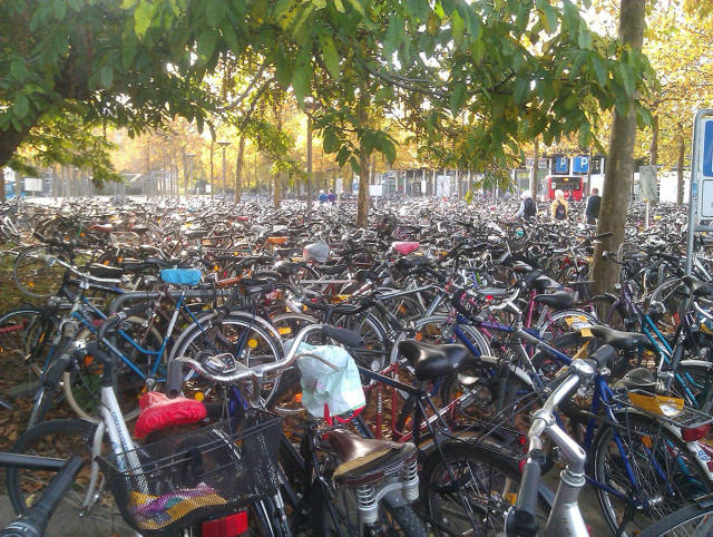 morning picdump 53 pics 20.html - 53 HD Photos | Premium Gallery 2015