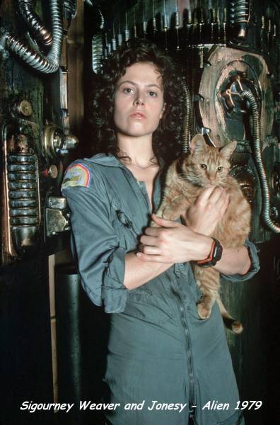 page,15,top 1500 daily pics of the year 2015.html - 1 HD Photos | Premium Gallery 2015